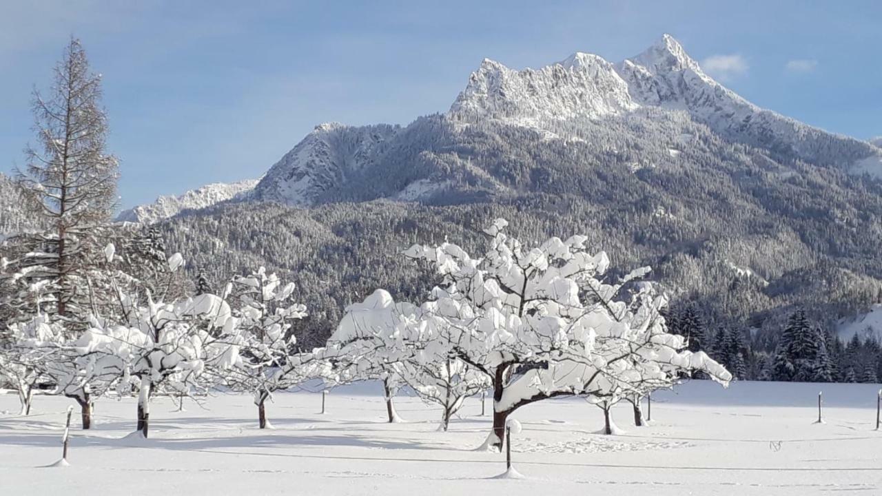 Apartmán Haus Heiserer Musau Exteriér fotografie